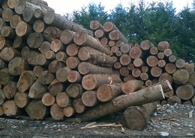 Maderas Guerrero - Trabajos en madera compacta y ensamblada, venta de madera pino oregón, Roble Hualle a medida. Carpintería y trabajos de cualquier medida.